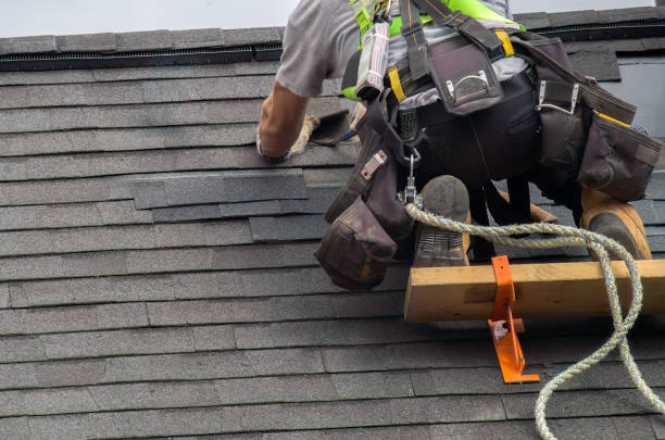 Best Chimney Flashing Repair  in Springdale, AR