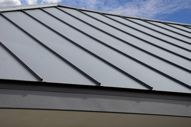 Best Roof Moss and Algae Removal  in Springdale, AR